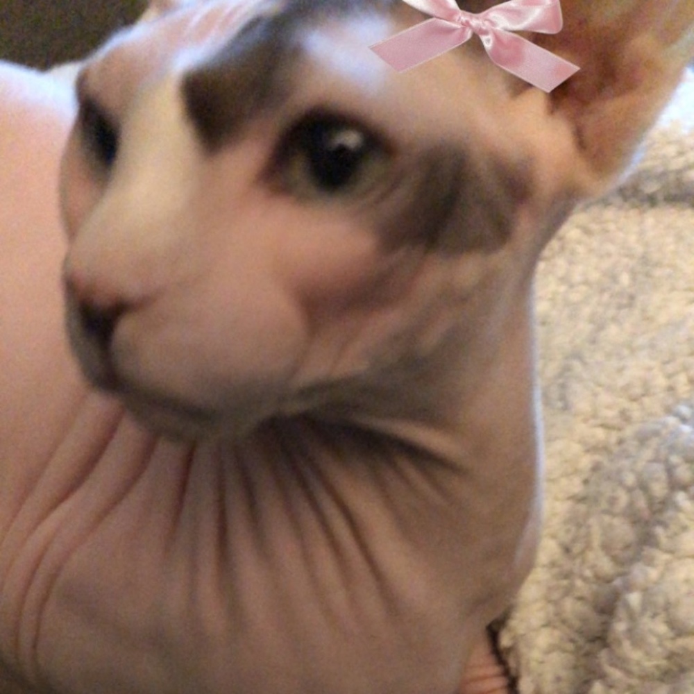 Meet your Posher, Shae